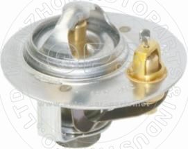  THERMOSTAT/OAT09-540404