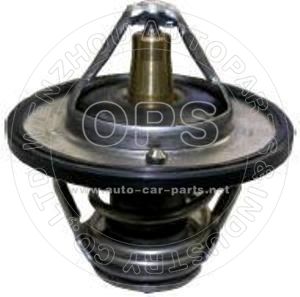  THERMOSTAT/OAT09-540409