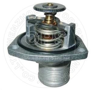  THERMOSTAT/OAT09-545202