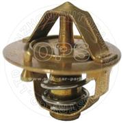  THERMOSTAT/OAT09-540013