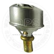  THERMOSTAT/OAT09-545007