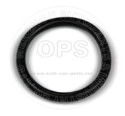  O-ring/OAT00-336281033