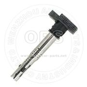  IGNITION-COIL/OAT02-133819