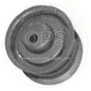  TENSIONER-PULLEY/OAT05-843801